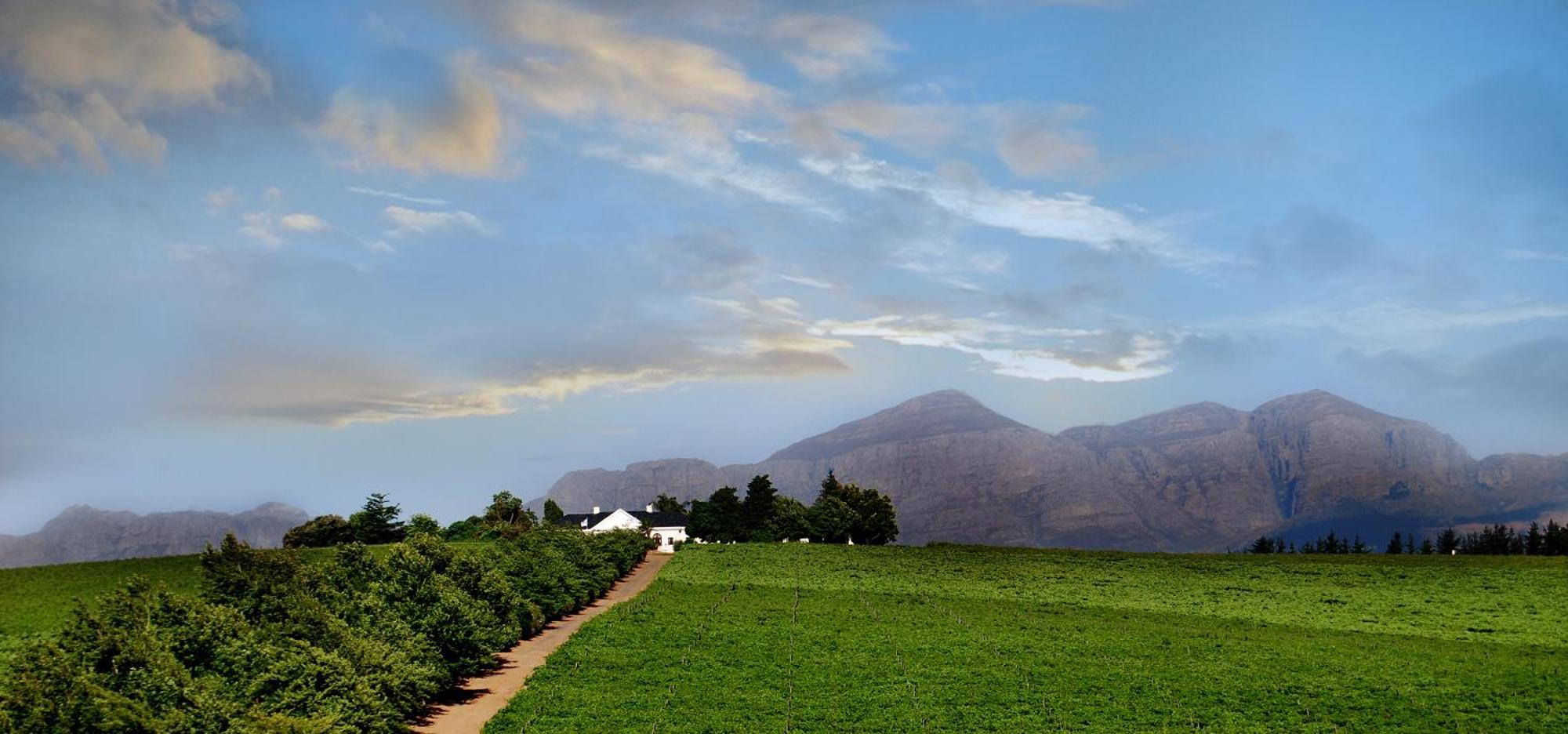 Bakenhof Winelands Lodge Paarl Exterior photo