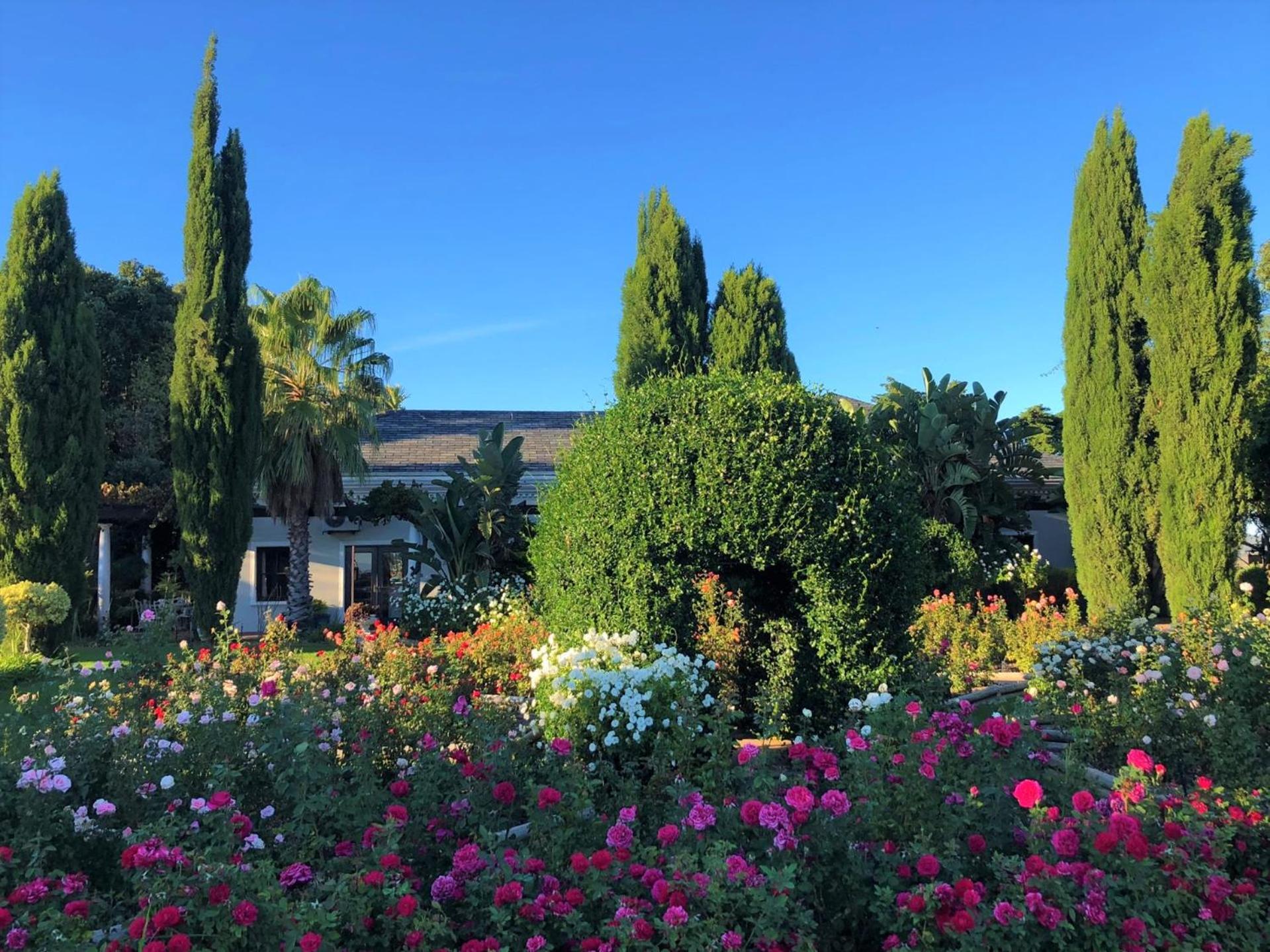 Bakenhof Winelands Lodge Paarl Exterior photo